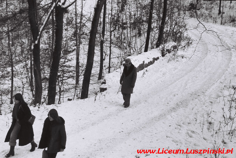 www.Liceum.Luszpinski.pl_1978-1982_0068