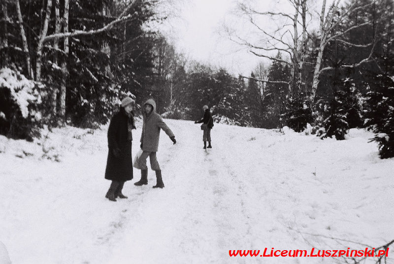 www.Liceum.Luszpinski.pl_1978-1982_0082