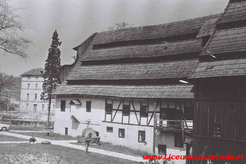 www.Liceum.Luszpinski.pl_1978-1982_0127