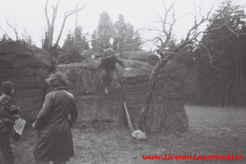 www.Liceum.Luszpinski.pl_1978-1982_0303