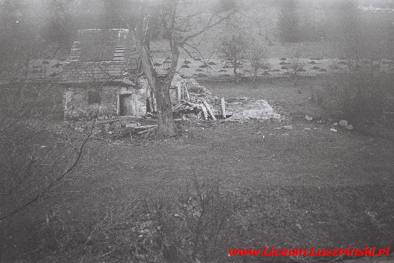 www.Liceum.Luszpinski.pl_1978-1982_0320