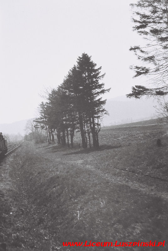 www.Liceum.Luszpinski.pl_1978-1982_0331