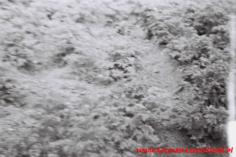 www.Liceum.Luszpinski.pl_1978-1982_0437