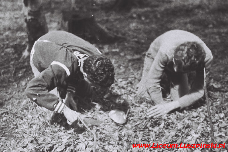 www.Liceum.Luszpinski.pl_1978-1982_0446