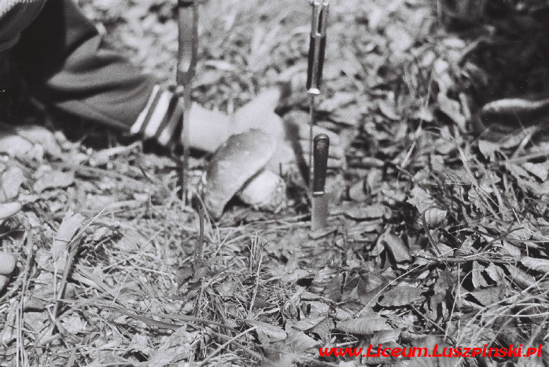 www.Liceum.Luszpinski.pl_1978-1982_0447