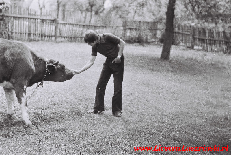 www.Liceum.Luszpinski.pl_1978-1982_0456