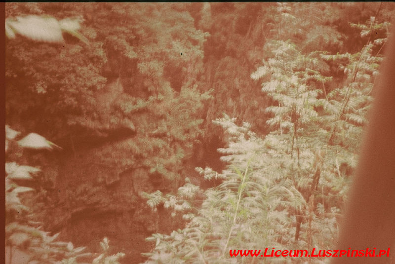 www.Liceum.Luszpinski.pl_1978-1982_0617