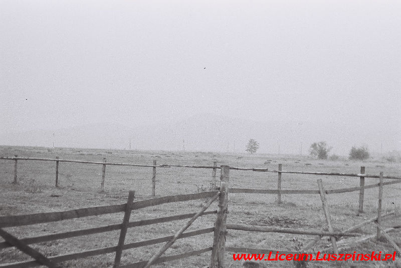 www.Liceum.Luszpinski.pl_1978-1982_0652
