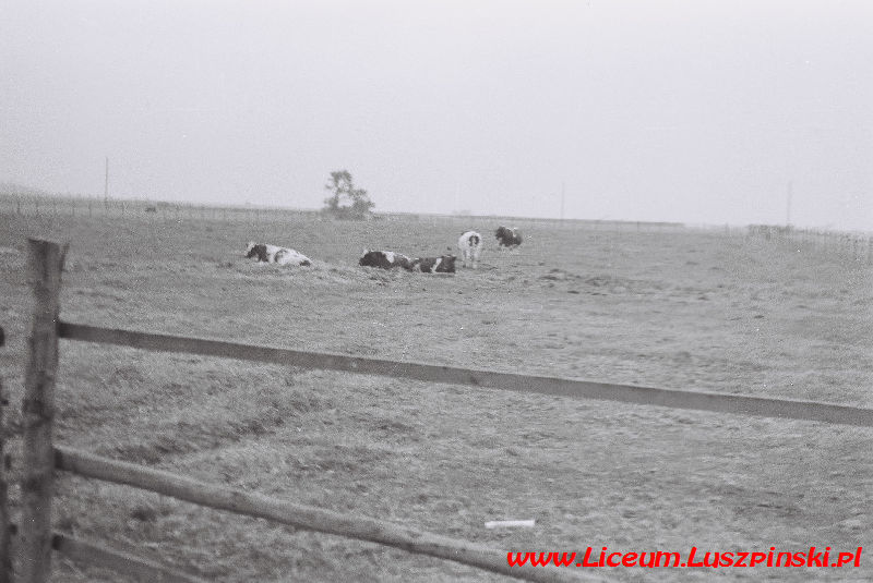 www.Liceum.Luszpinski.pl_1978-1982_0653