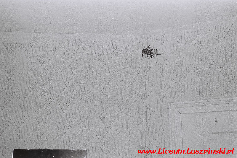 www.Liceum.Luszpinski.pl_1978-1982_0730
