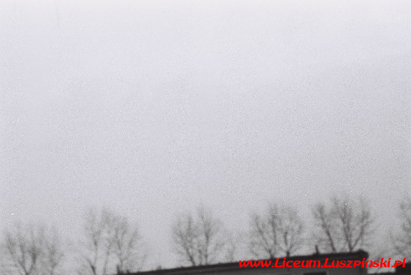 www.Liceum.Luszpinski.pl_1978-1982_0843