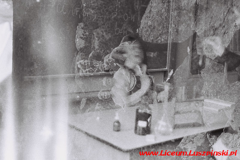 www.Liceum.Luszpinski.pl_1978-1982_0855