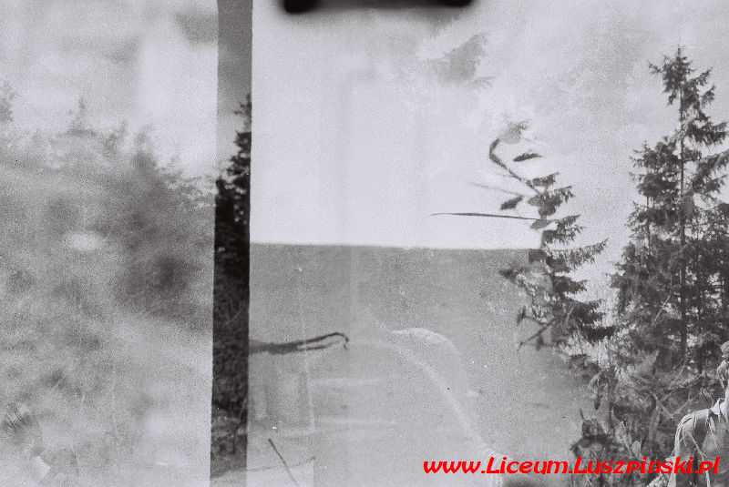 www.Liceum.Luszpinski.pl_1978-1982_0888
