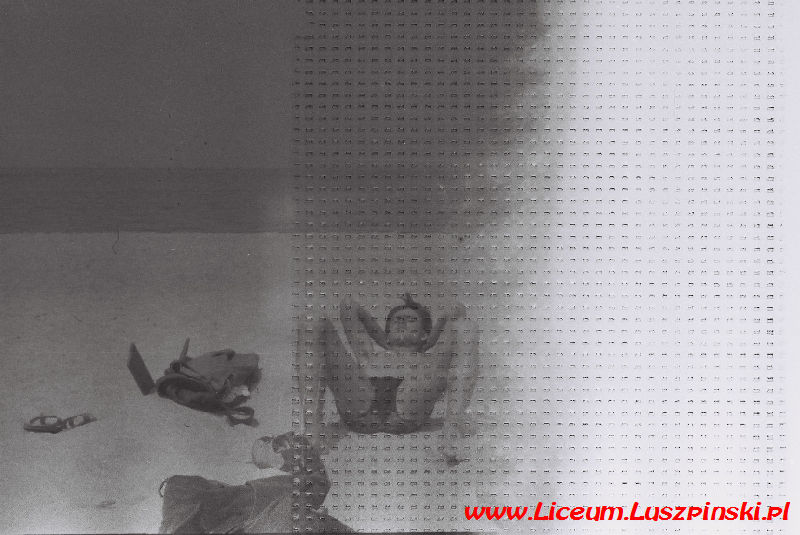 www.Liceum.Luszpinski.pl_1978-1982_1009