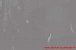 www.Liceum.Luszpinski.pl_1978-1982_0039