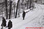 www.Liceum.Luszpinski.pl_1978-1982_0068