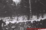 www.Liceum.Luszpinski.pl_1978-1982_0085