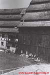 www.Liceum.Luszpinski.pl_1978-1982_0126
