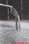 www.Liceum.Luszpinski.pl_1978-1982_0148
