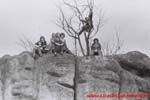 www.Liceum.Luszpinski.pl_1978-1982_0209
