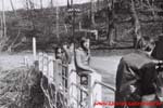 www.Liceum.Luszpinski.pl_1978-1982_0218