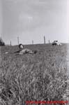 www.Liceum.Luszpinski.pl_1978-1982_0278