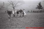 www.Liceum.Luszpinski.pl_1978-1982_0291