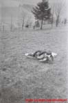 www.Liceum.Luszpinski.pl_1978-1982_0297