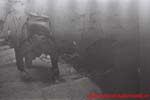 www.Liceum.Luszpinski.pl_1978-1982_0309