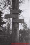 www.Liceum.Luszpinski.pl_1978-1982_0314