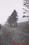 www.Liceum.Luszpinski.pl_1978-1982_0331
