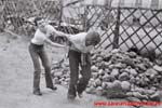 www.Liceum.Luszpinski.pl_1978-1982_0378