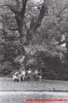 www.Liceum.Luszpinski.pl_1978-1982_0380
