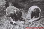 www.Liceum.Luszpinski.pl_1978-1982_0446