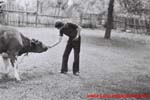 www.Liceum.Luszpinski.pl_1978-1982_0456