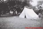 www.Liceum.Luszpinski.pl_1978-1982_0467