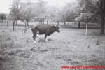 www.Liceum.Luszpinski.pl_1978-1982_0478