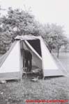 www.Liceum.Luszpinski.pl_1978-1982_0482