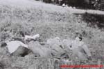 www.Liceum.Luszpinski.pl_1978-1982_0693