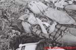 www.Liceum.Luszpinski.pl_1978-1982_0701