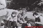 www.Liceum.Luszpinski.pl_1978-1982_0793