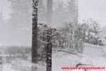 www.Liceum.Luszpinski.pl_1978-1982_0887