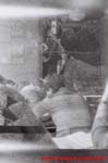 www.Liceum.Luszpinski.pl_1978-1982_0891