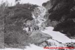 www.Liceum.Luszpinski.pl_1978-1982_0897