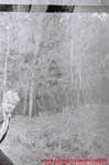 www.Liceum.Luszpinski.pl_1978-1982_0919
