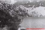 www.Liceum.Luszpinski.pl_1978-1982_0962