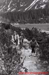 www.Liceum.Luszpinski.pl_1978-1982_0974